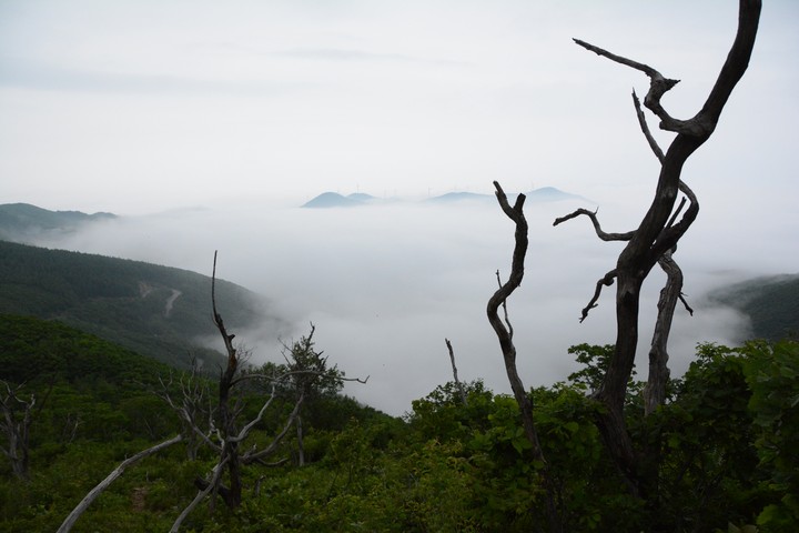 함백산이미지