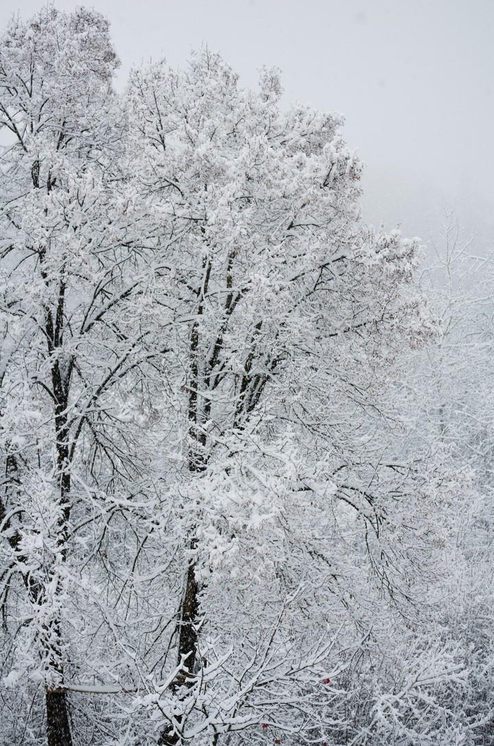 snow