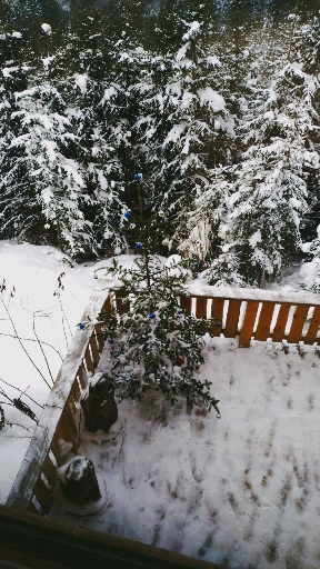 view from the window