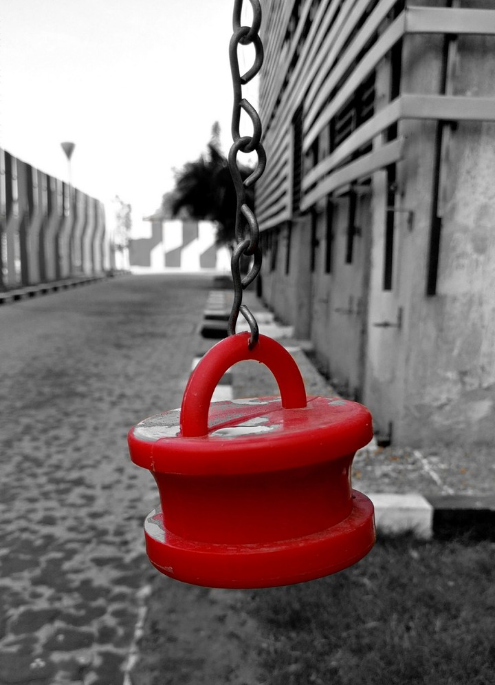 Red Beauty