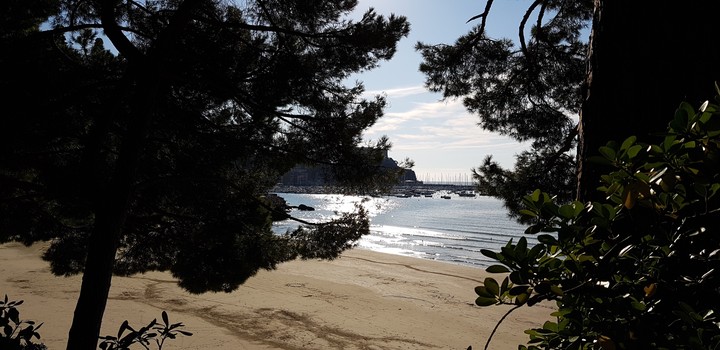 Lerici