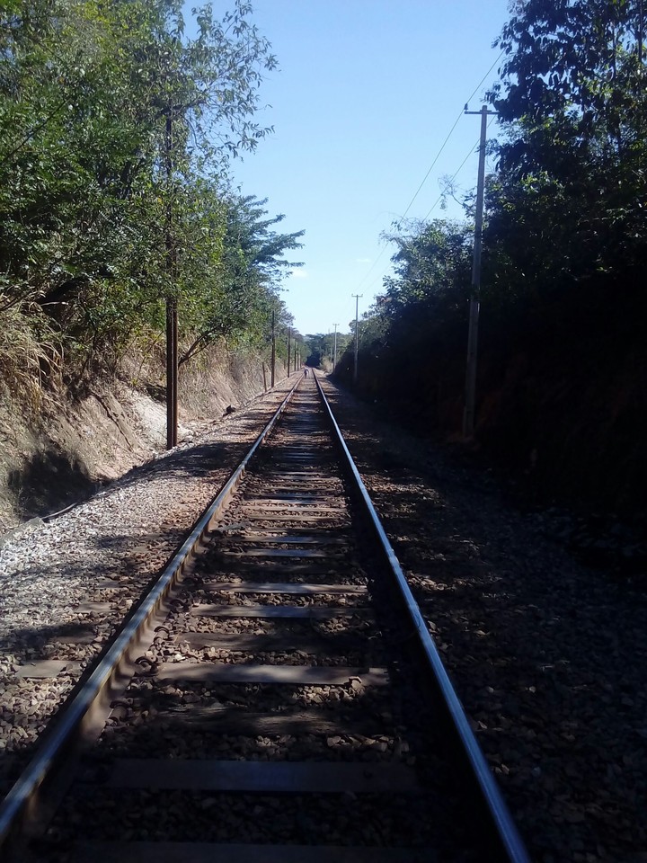 linha do trem
