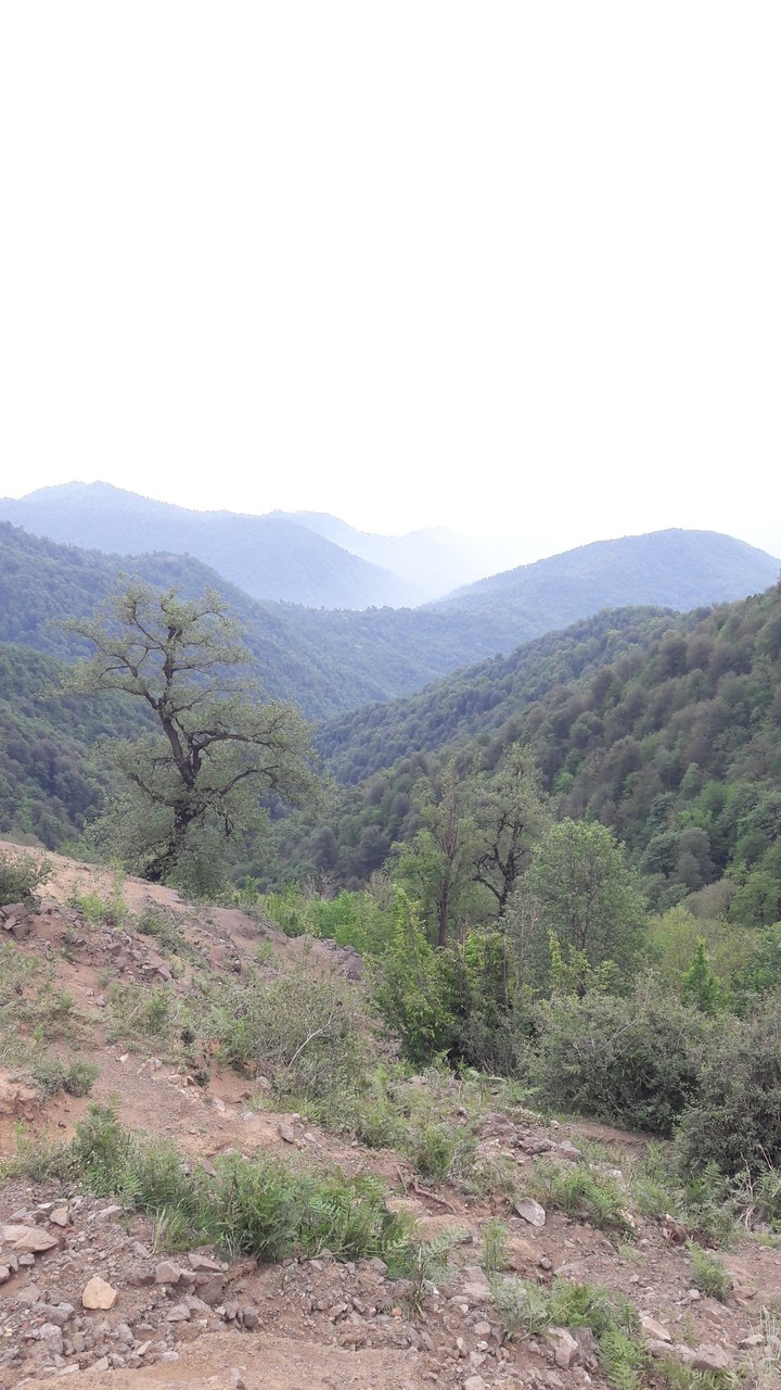 mountain