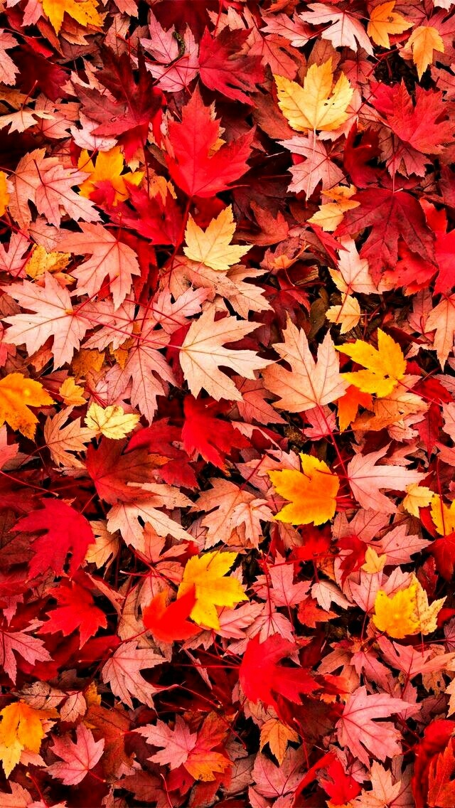 October