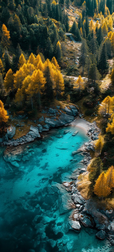ταπετσαρίες valley, larch