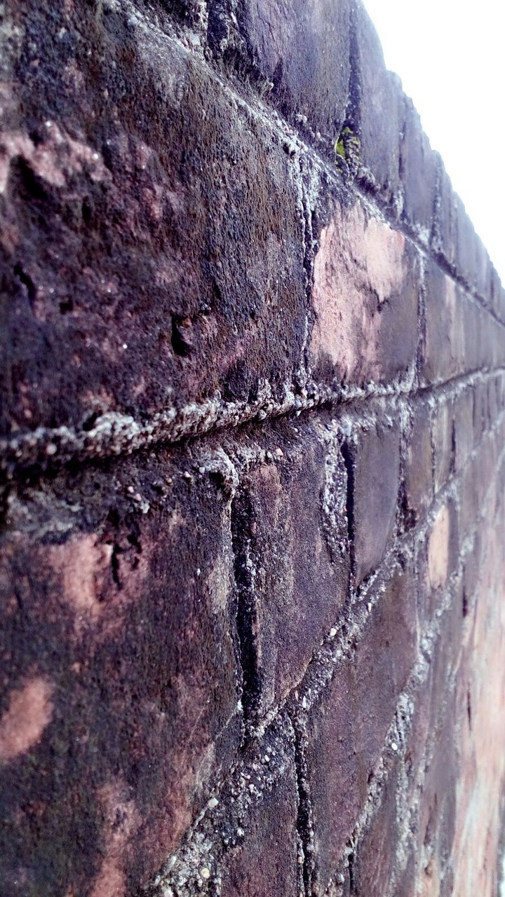 Wall