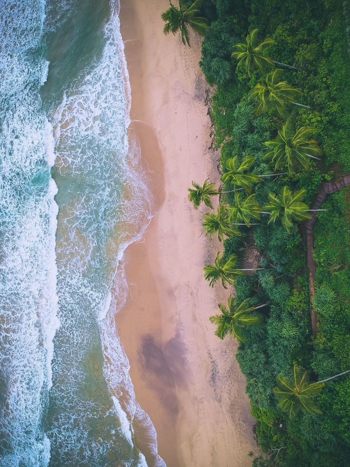 Sea