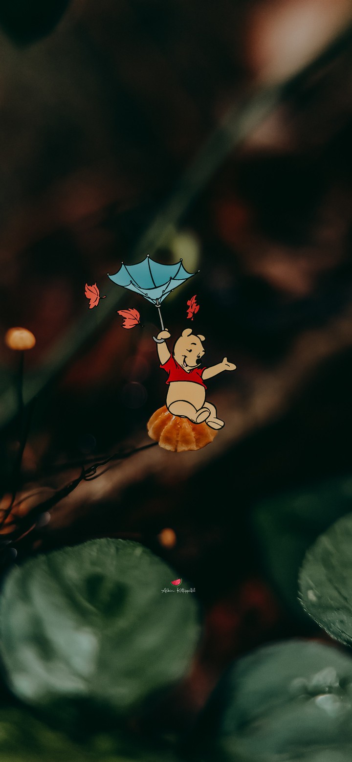 Fantasy World