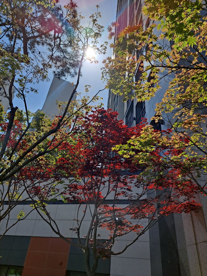 미리만난가을
