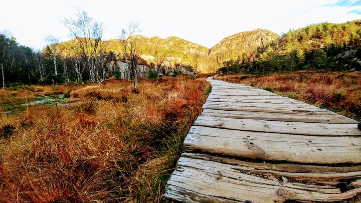 Follow the Sun