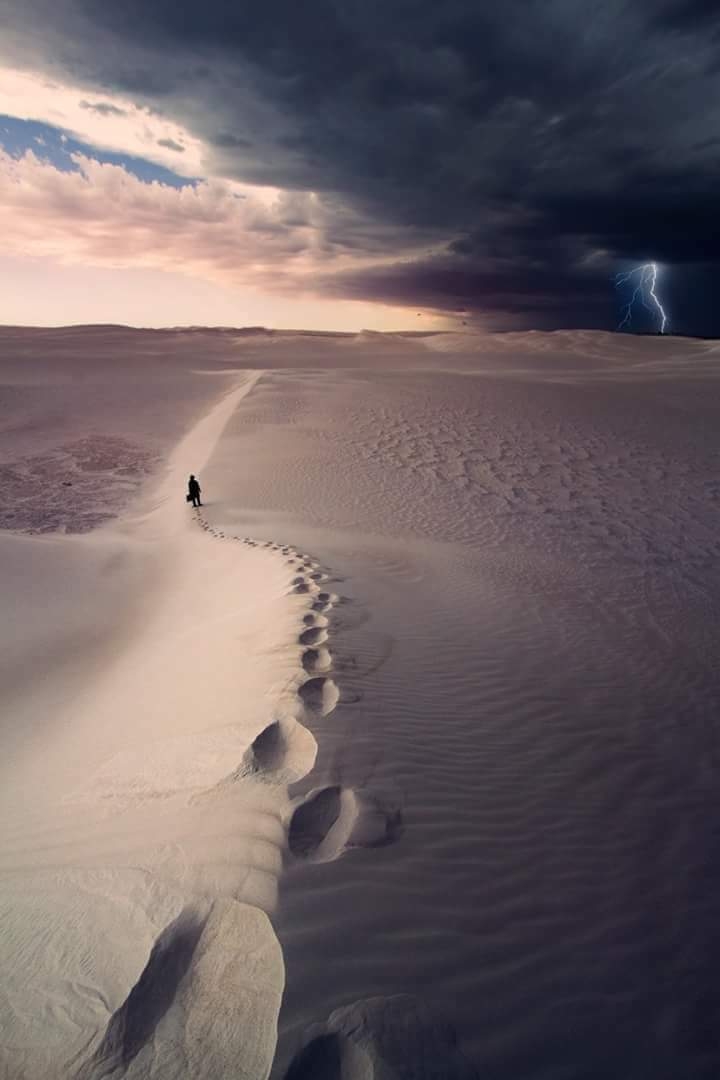 Walkabout