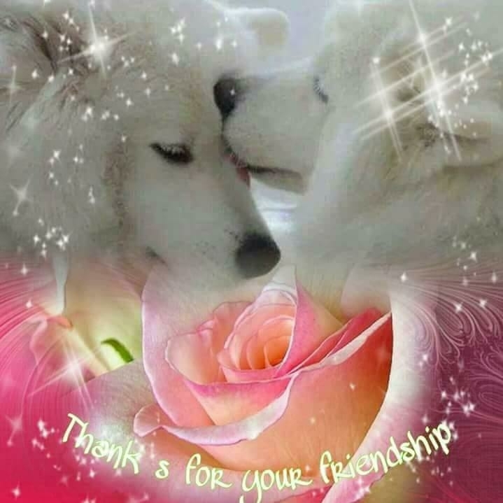 friends
