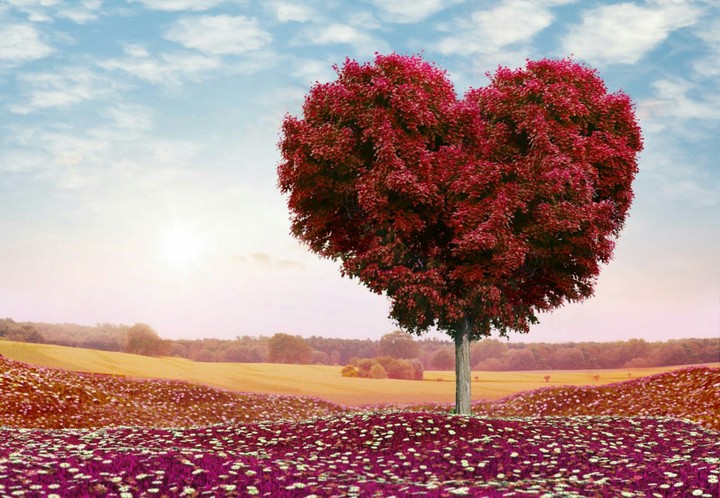 Tree of love