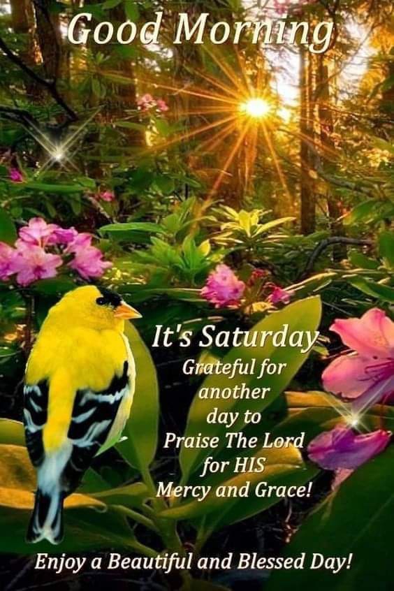 it's was a beautiful Saturday sun rise