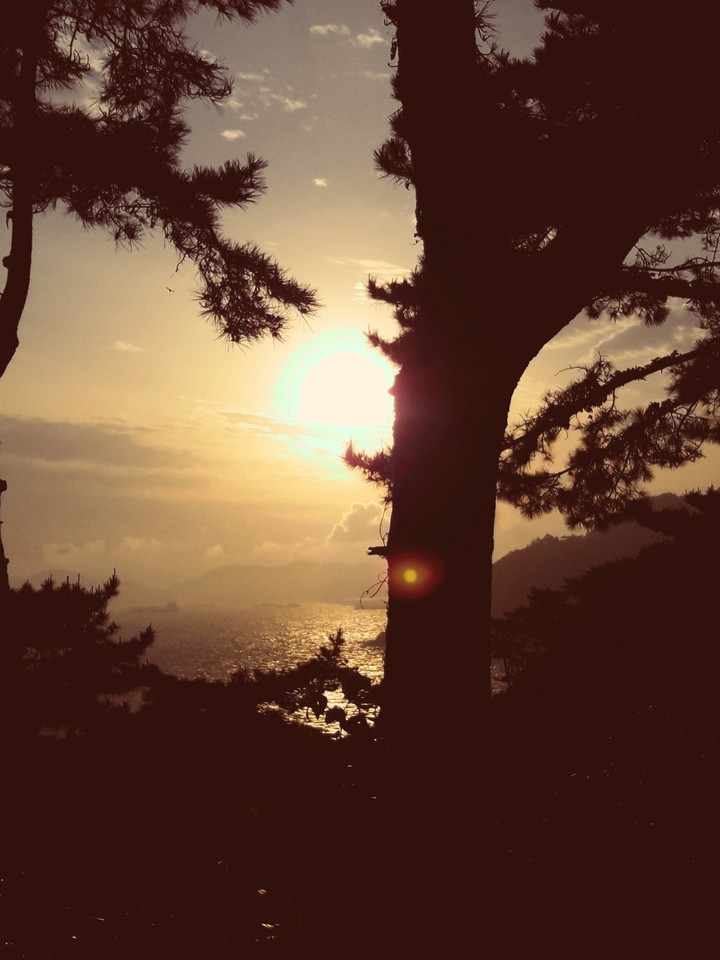 sun