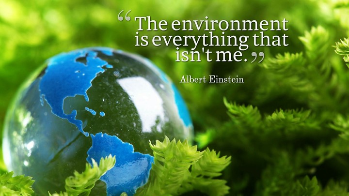 environment