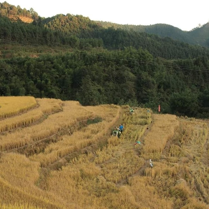 China
