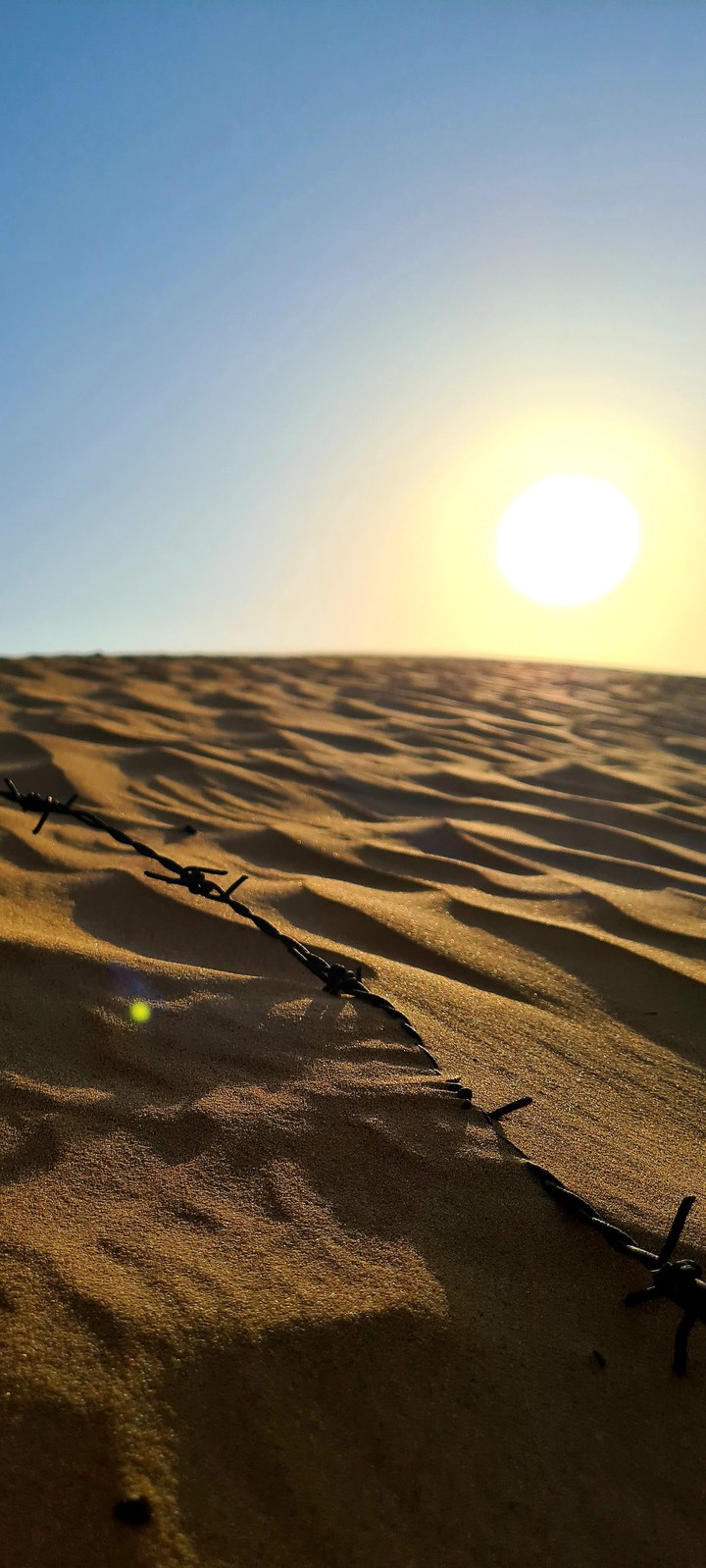 desert