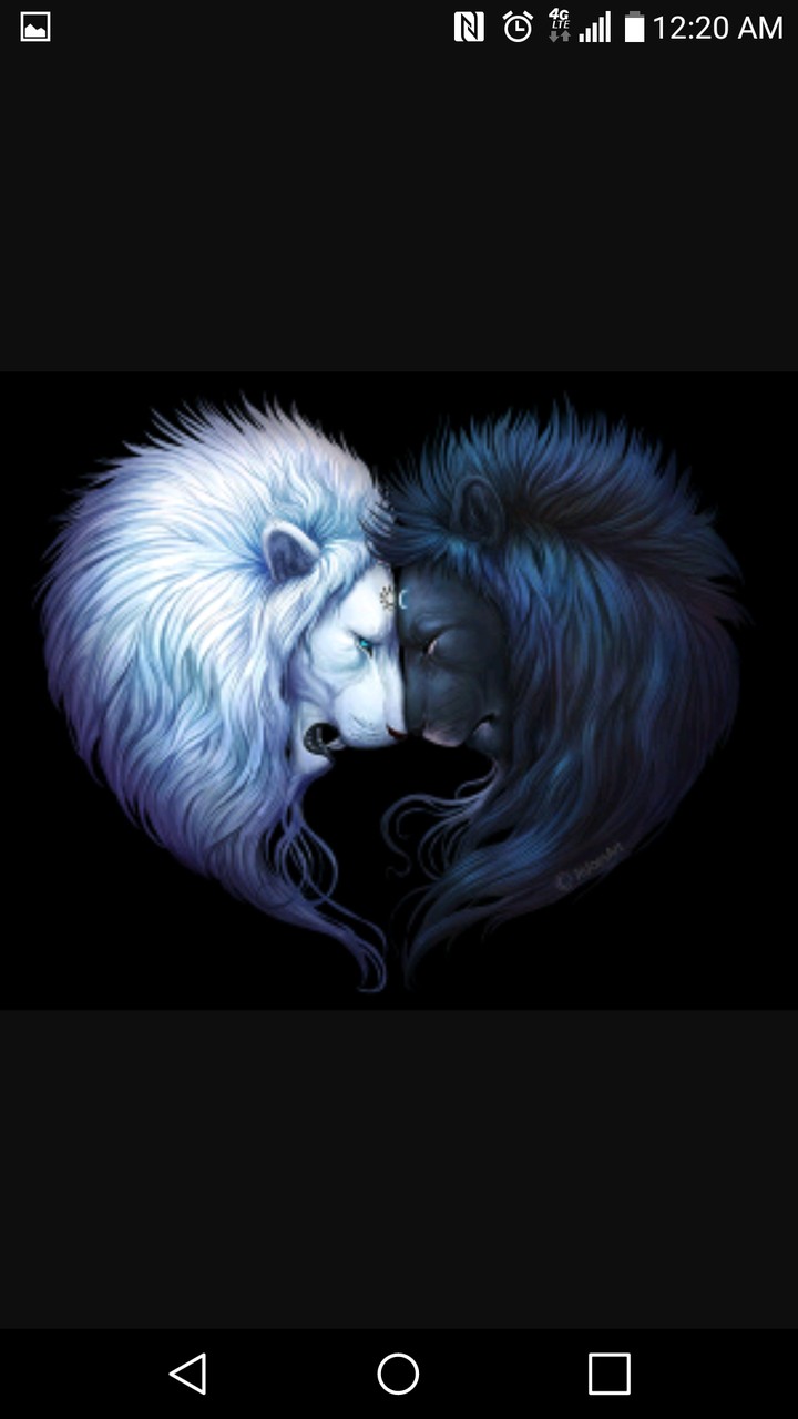 lion