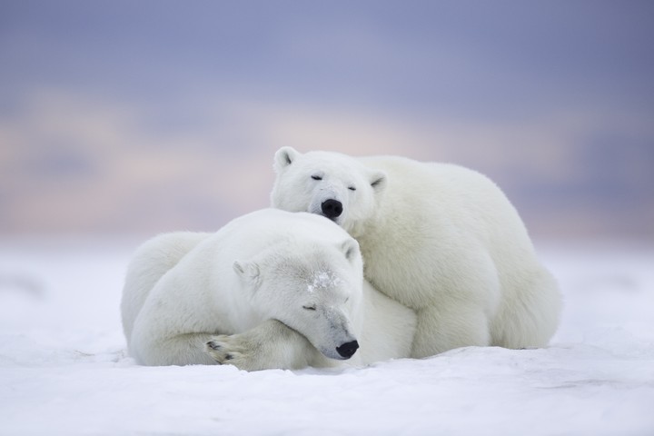Alaska , Winter View