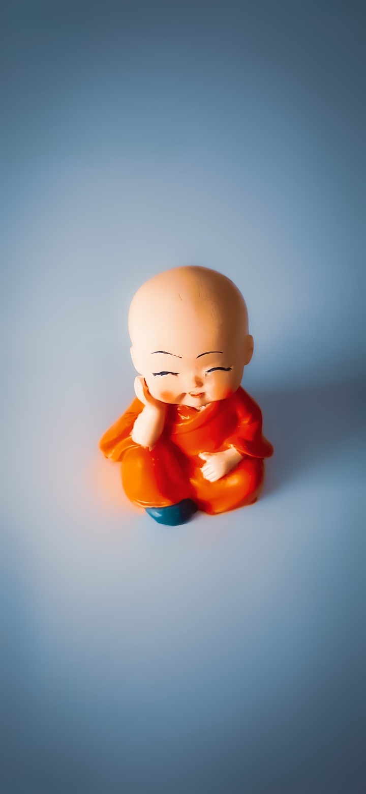 Thinking monk