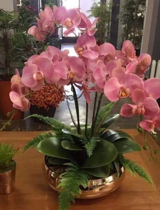 flowers