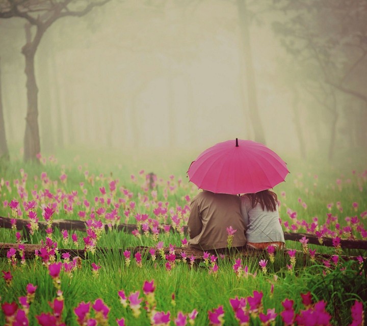 Love
