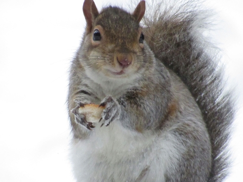 he's hungry