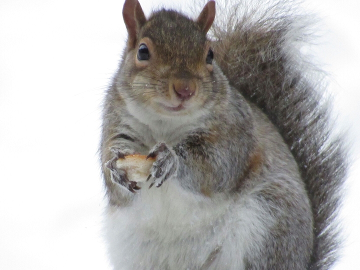 he's hungry