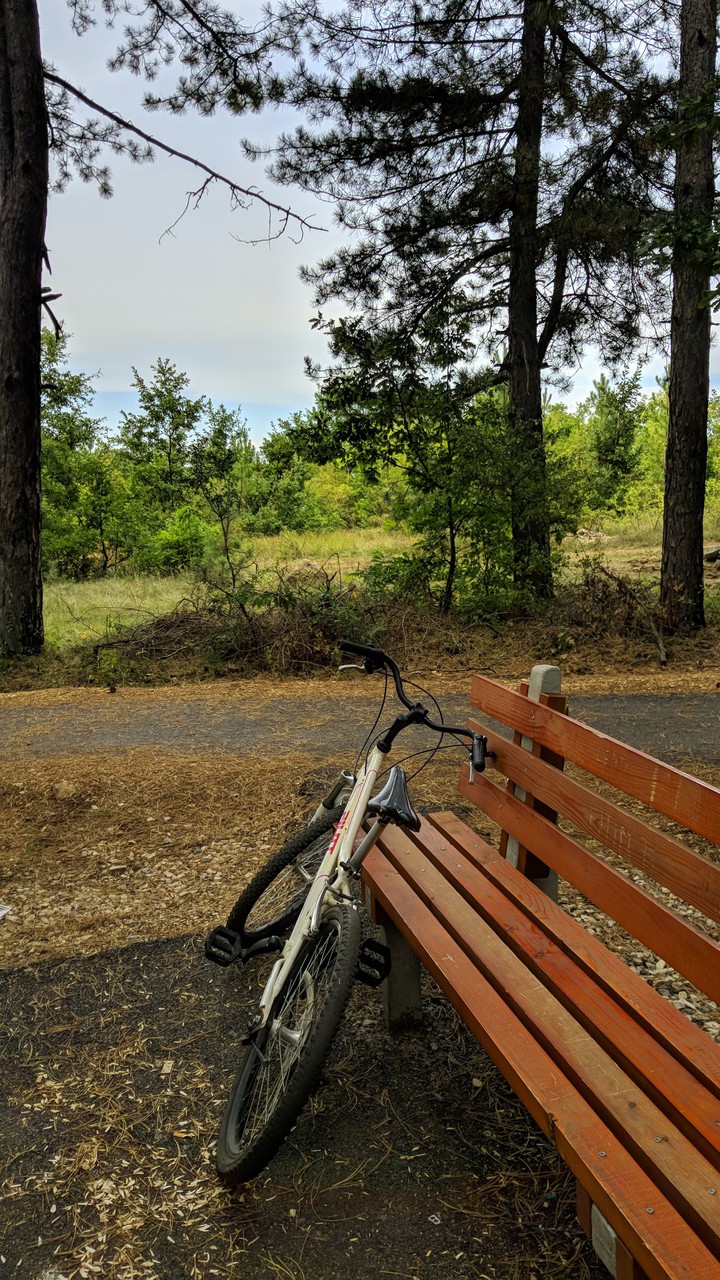 Bike Riding