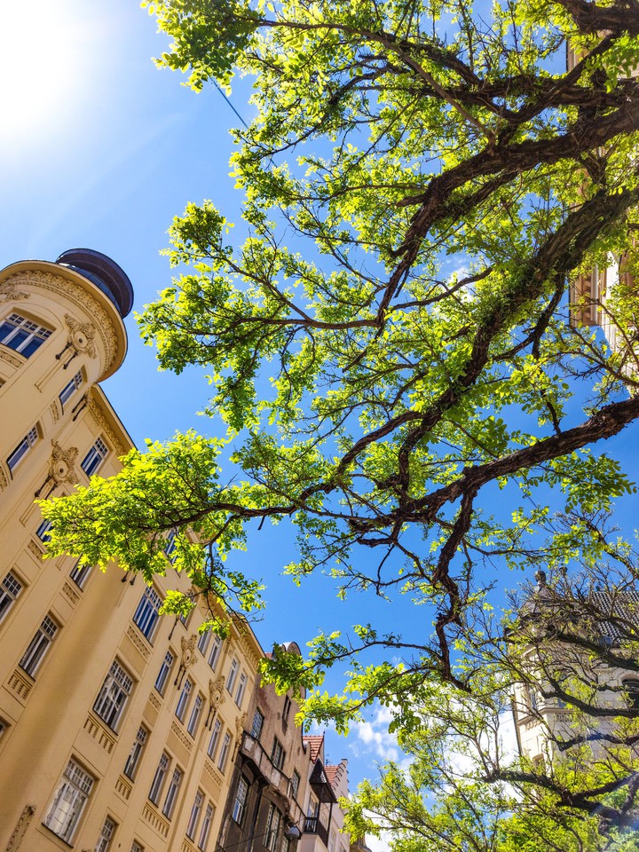 City nature