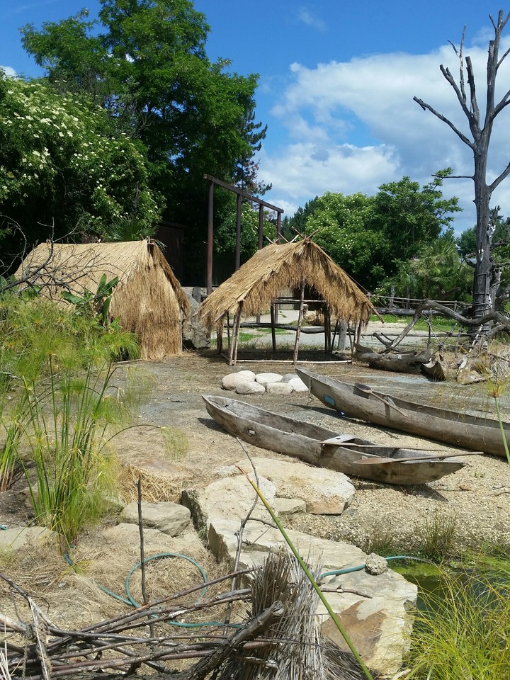 safari zoo
