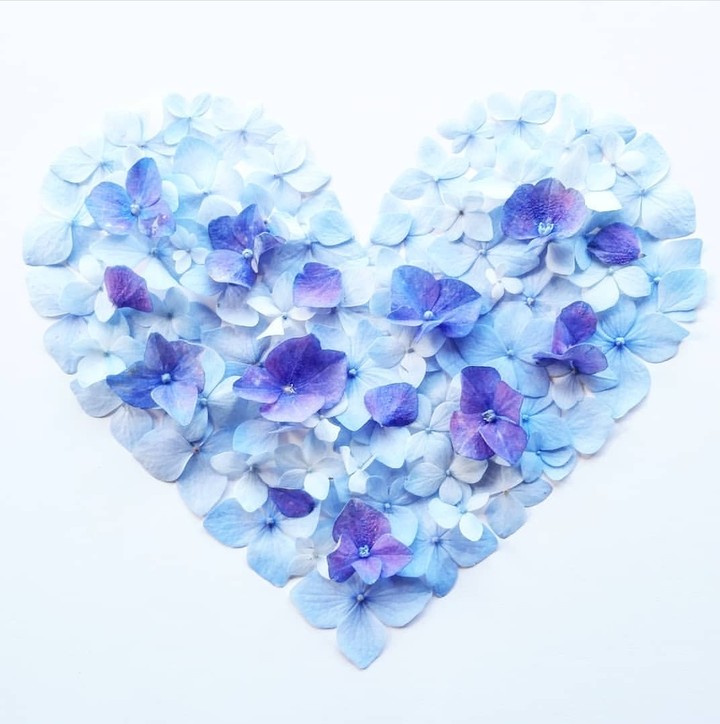 Heart ❤️