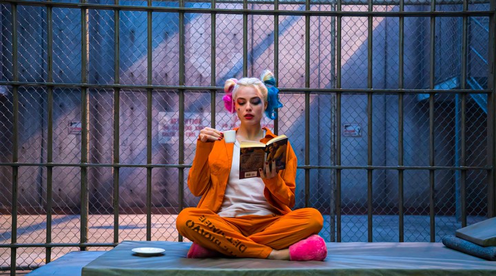 harley quinn margot robbie