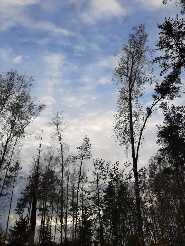 небо