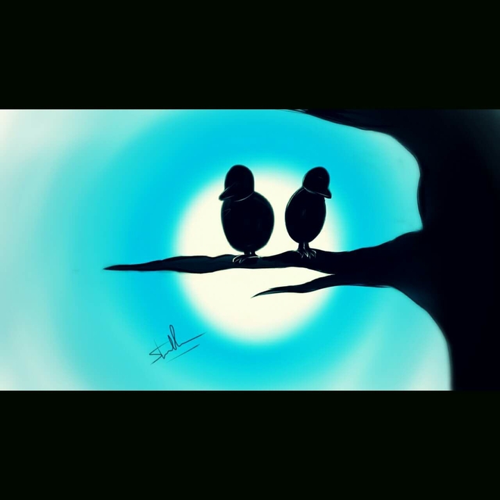 bird