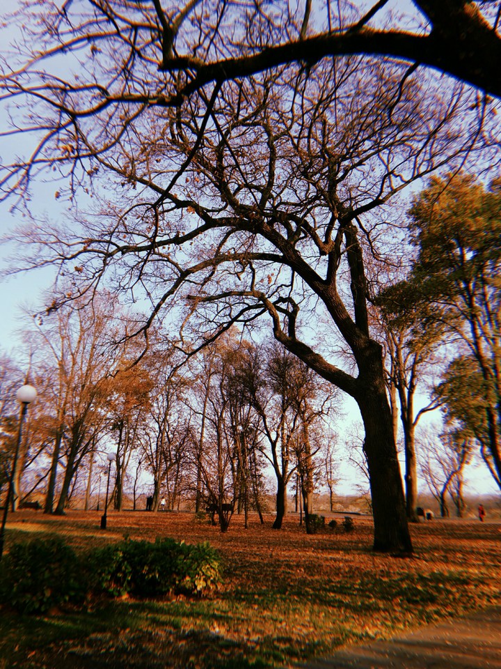 autumn