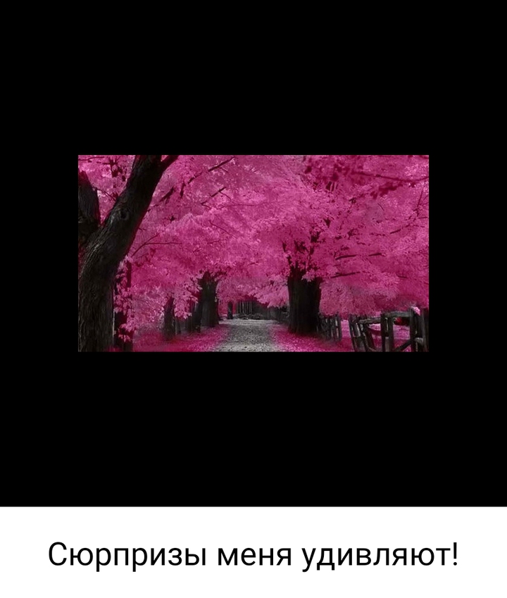 ,