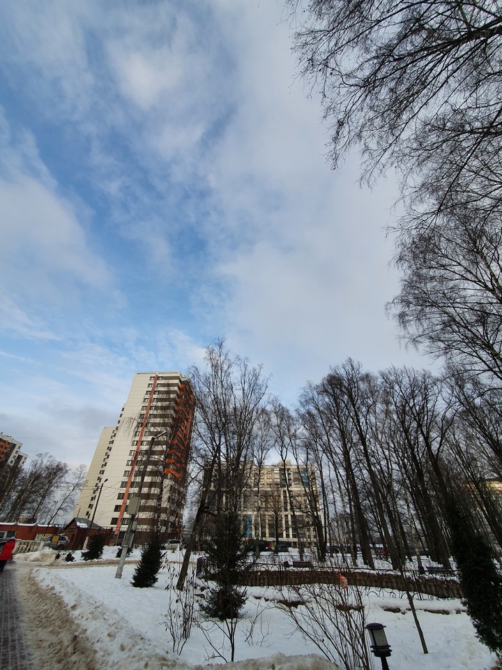 winter