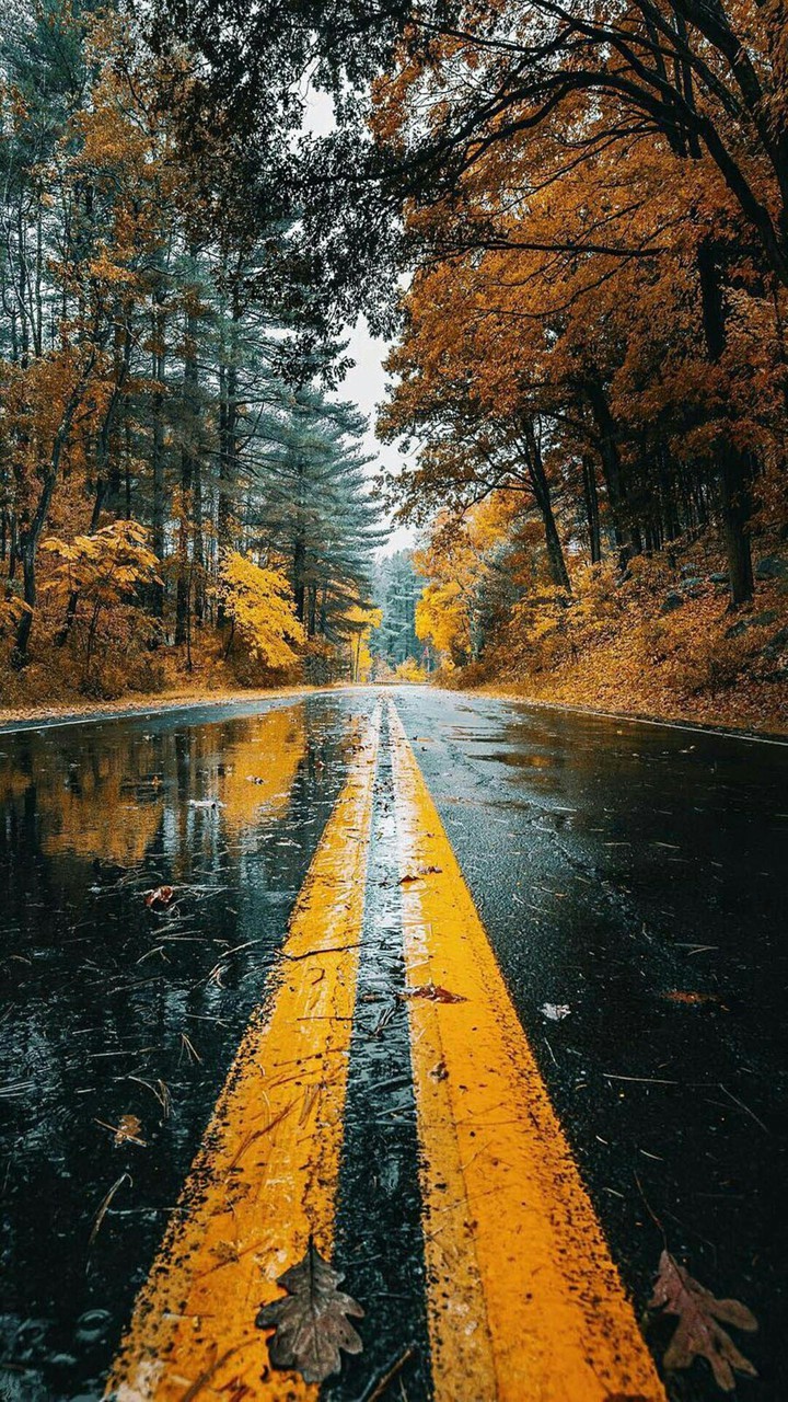 "_"