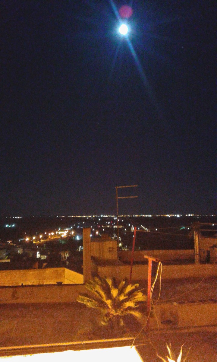 Oria  (br)