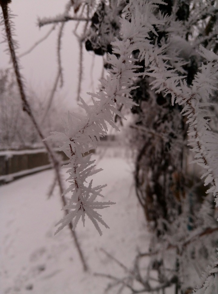 winter
