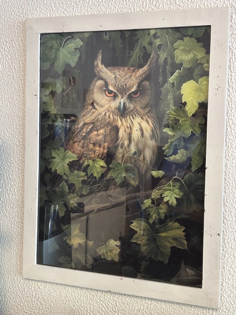 Bird, Owl, Brown