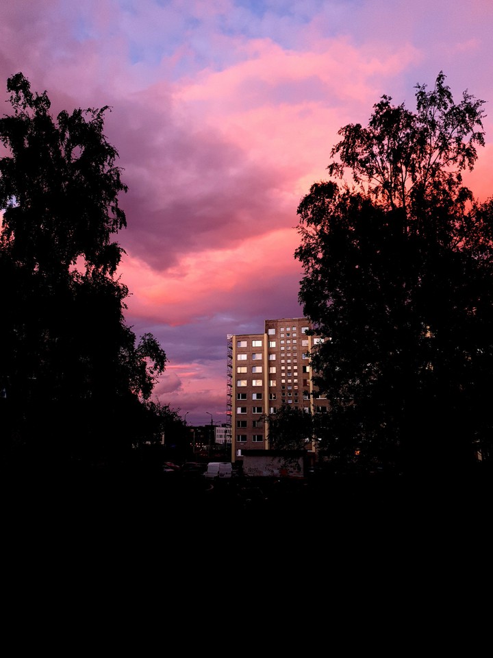 pink dream