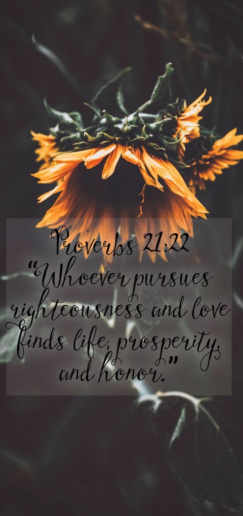 flower, verse वॉलपेपर