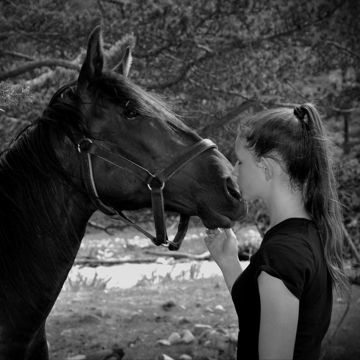 Horsing love