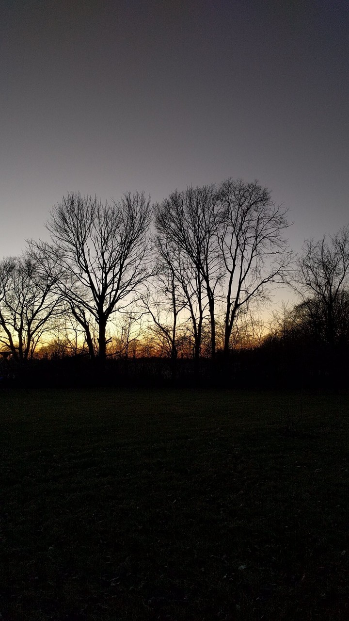 Dark sunset