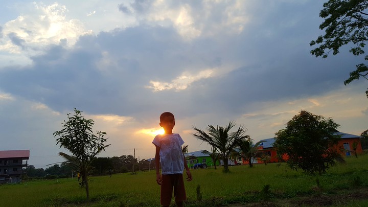 nature