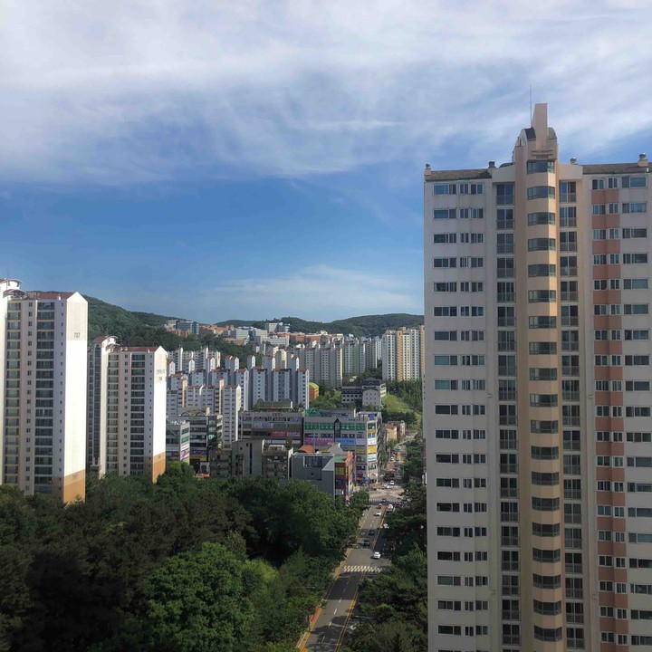 view