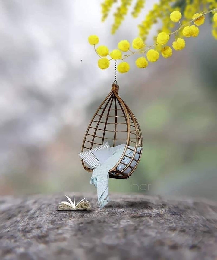 tiny world